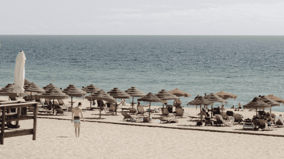 comporta brejos carvahal real estate bonte filipidis property house beach min cropped (3)