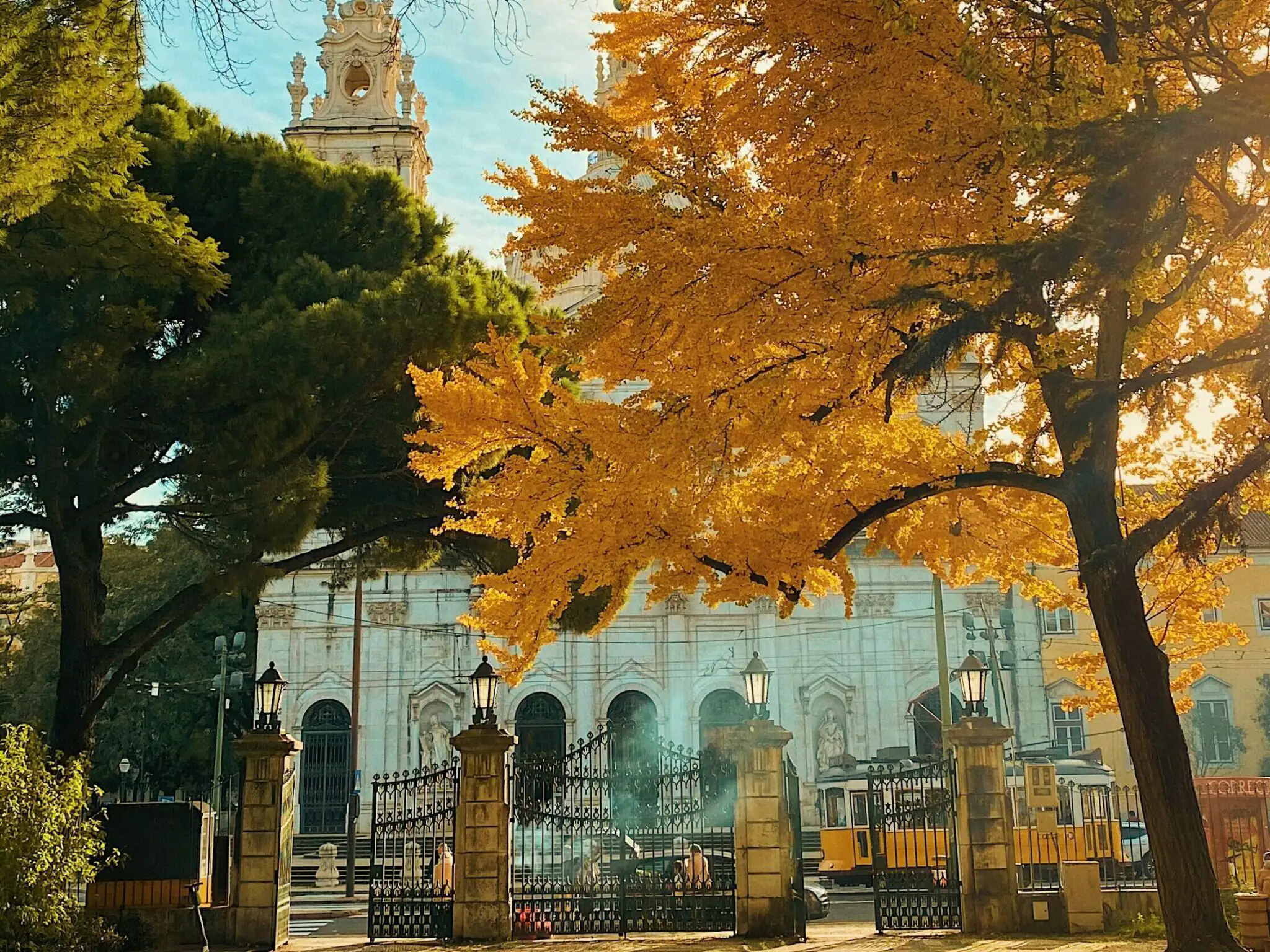 vinicius morandi 6a9w9 zxcsu unsplash edited