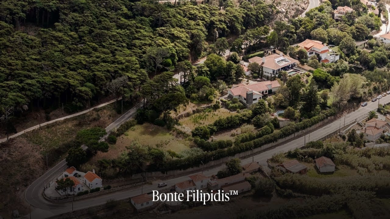Aerial view of houses surrounded by lush trees.
