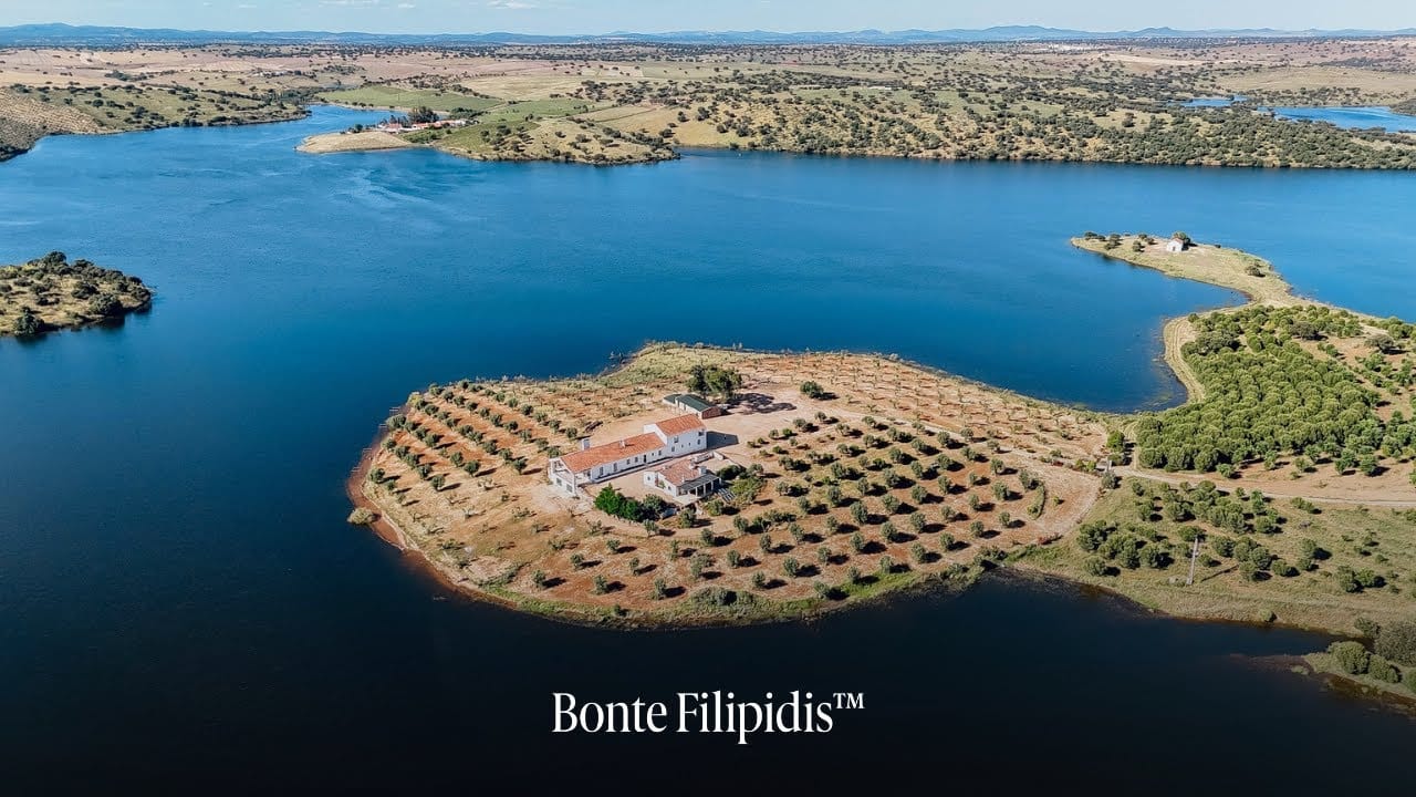 Aerial view of a serene lakeside landscape.